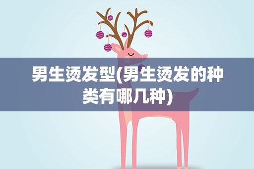 男生烫发型(男生烫发的种类有哪几种)