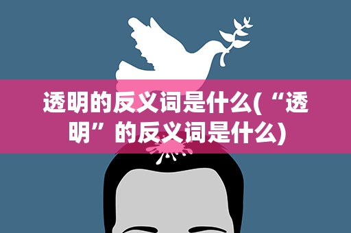 透明的反义词是什么(“透明”的反义词是什么)