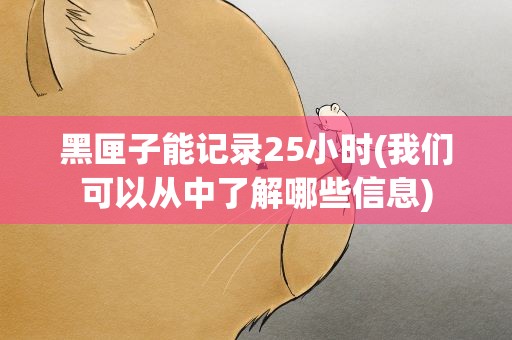 黑匣子能记录25小时(我们可以从中了解哪些信息)