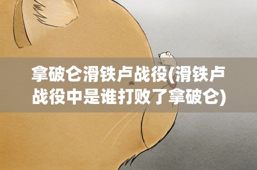 拿破仑滑铁卢战役(滑铁卢战役中是谁打败了拿破仑)