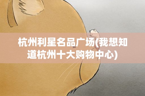 杭州利星名品广场(我想知道杭州十大购物中心)