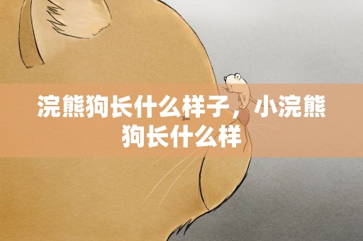浣熊狗长什么样子，小浣熊狗长什么样