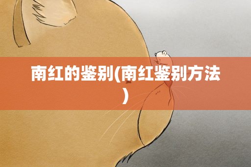 南红的鉴别(南红鉴别方法)
