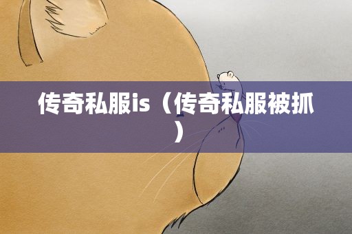 传奇私服is（传奇私服被抓）