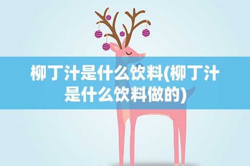 柳丁汁是什么饮料(柳丁汁是什么饮料做的)