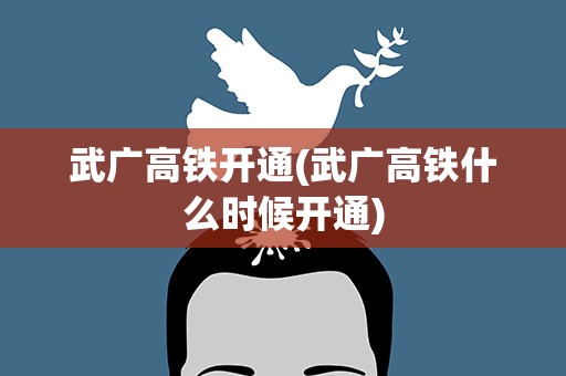 武广高铁开通(武广高铁什么时候开通)