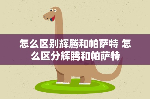 怎么区别辉腾和帕萨特 怎么区分辉腾和帕萨特