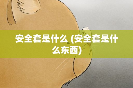 安全套是什么 (安全套是什么东西)