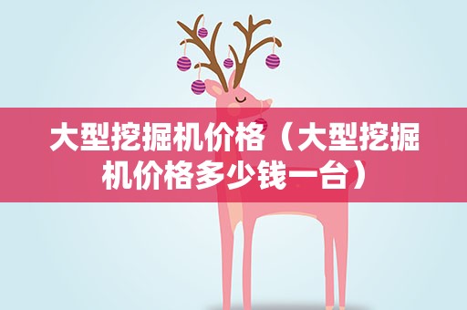 大型挖掘机价格（大型挖掘机价格多少钱一台）