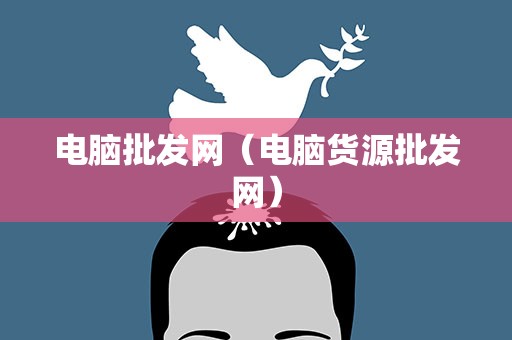 电脑批发网（电脑货源批发网）