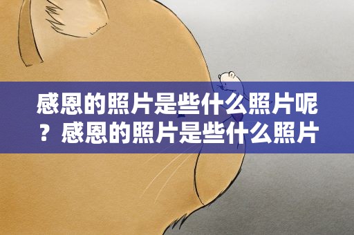 感恩的照片是些什么照片呢？感恩的照片是些什么照片呢英语