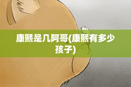 康熙是几阿哥(康熙有多少孩子)