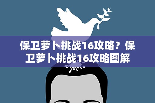 保卫萝卜挑战16攻略？保卫萝卜挑战16攻略图解