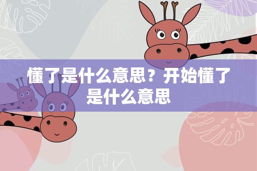 懂了是什么意思？开始懂了是什么意思