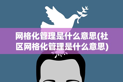 网格化管理是什么意思(社区网格化管理是什么意思)