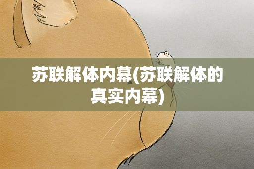 苏联解体内幕(苏联解体的真实内幕)