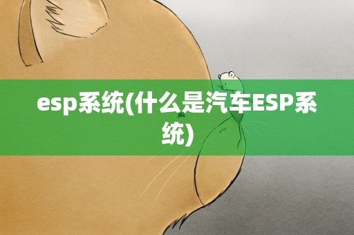 esp系统(什么是汽车ESP系统)