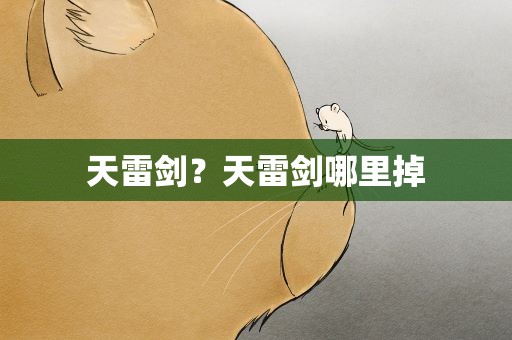 天雷剑？天雷剑哪里掉