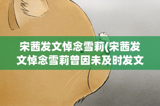 宋茜发文悼念雪莉(宋茜发文悼念雪莉曾因未及时发文而受到网友谩骂)