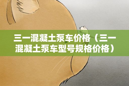 三一混凝土泵车价格（三一混凝土泵车型号规格价格）