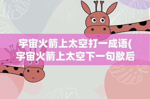 宇宙火箭上太空打一成语(宇宙火箭上太空下一句歇后语)