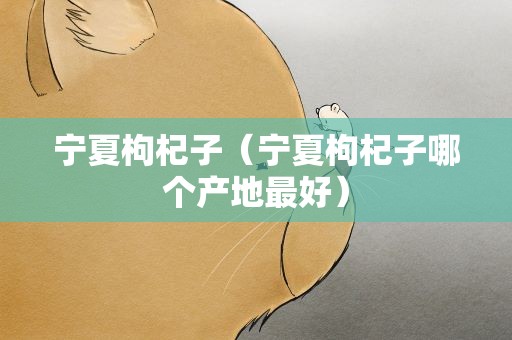 宁夏枸杞子（宁夏枸杞子哪个产地最好）