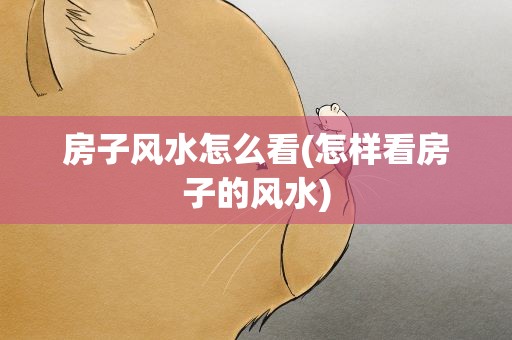 房子风水怎么看(怎样看房子的风水)
