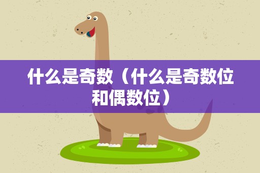什么是奇数（什么是奇数位和偶数位）