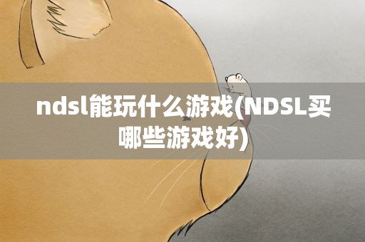 ndsl能玩什么游戏(NDSL买哪些游戏好)