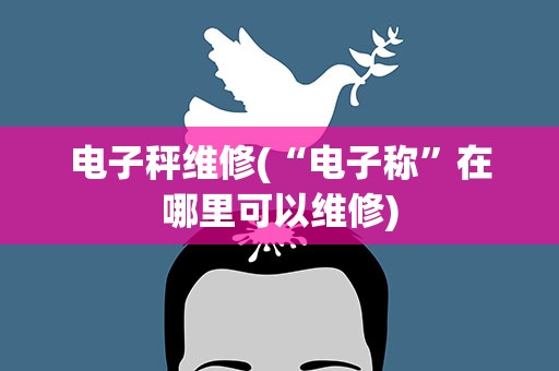 电子秤维修(“电子称”在哪里可以维修)
