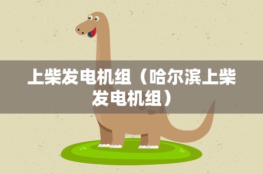上柴发电机组（哈尔滨上柴发电机组）