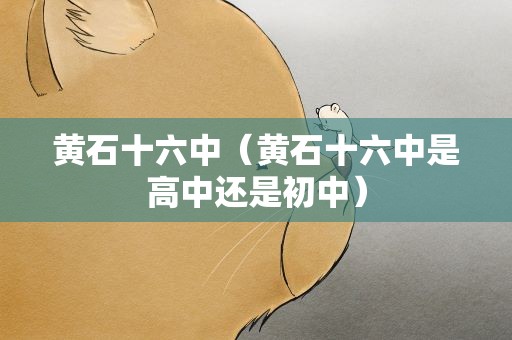 黄石十六中（黄石十六中是高中还是初中）