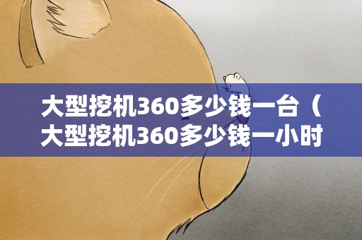 大型挖机360多少钱一台（大型挖机360多少钱一小时）