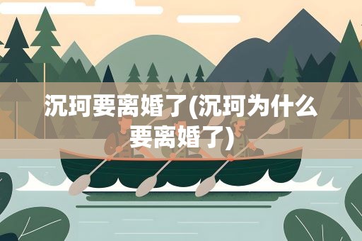 沉珂要离婚了(沉珂为什么要离婚了)