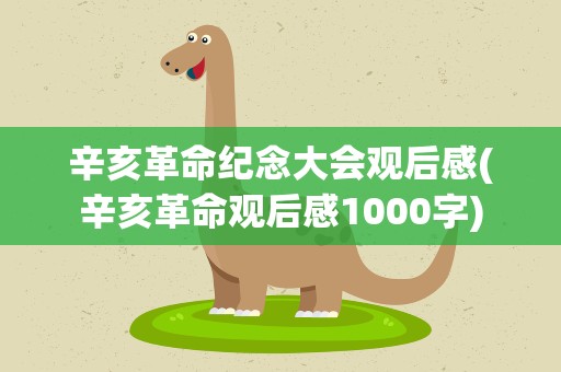 辛亥革命纪念大会观后感(辛亥革命观后感1000字)