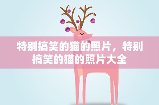 特别搞笑的猫的照片，特别搞笑的猫的照片大全