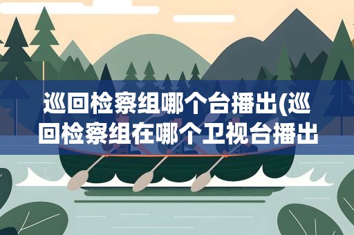 巡回检察组哪个台播出(巡回检察组在哪个卫视台播出)