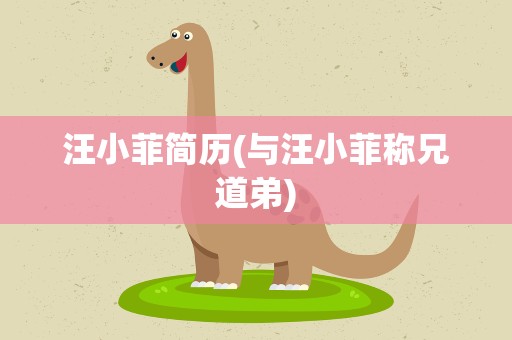 汪小菲简历(与汪小菲称兄道弟)