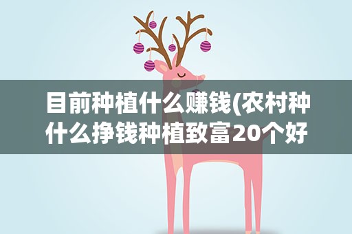 目前种植什么赚钱(农村种什么挣钱种植致富20个好项目)