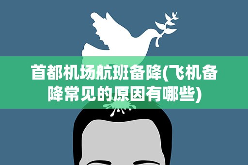 首都机场航班备降(飞机备降常见的原因有哪些)