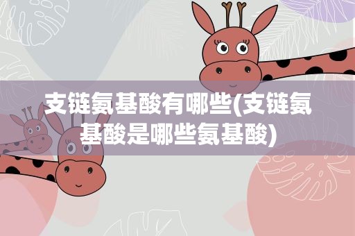 支链氨基酸有哪些(支链氨基酸是哪些氨基酸)