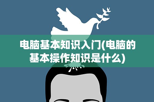 电脑基本知识入门(电脑的基本操作知识是什么)