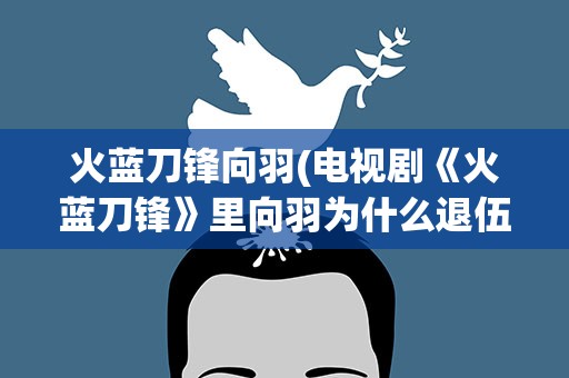 火蓝刀锋向羽(电视剧《火蓝刀锋》里向羽为什么退伍了)