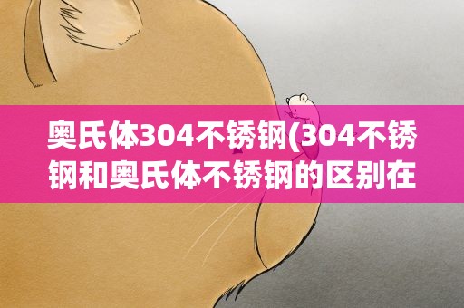 奥氏体304不锈钢(304不锈钢和奥氏体不锈钢的区别在哪里)