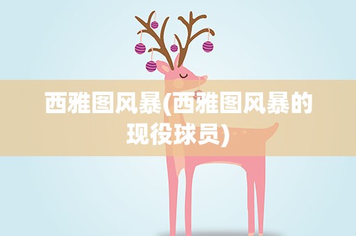西雅图风暴(西雅图风暴的现役球员)