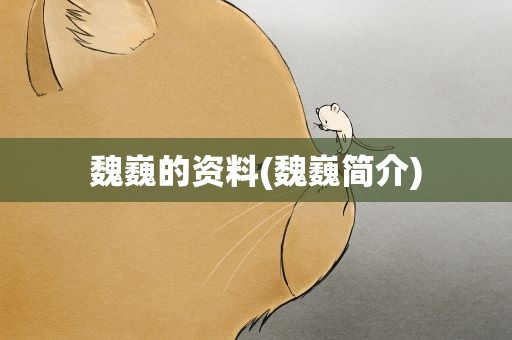 魏巍的资料(魏巍简介)