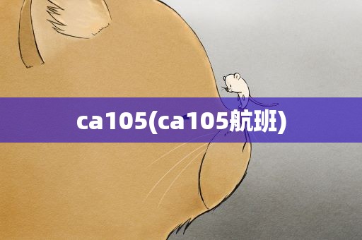 ca105(ca105航班)