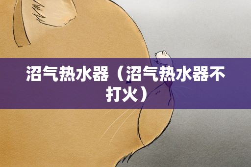 沼气热水器（沼气热水器不打火）