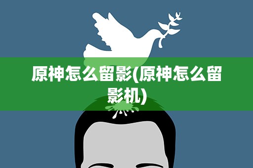 原神怎么留影(原神怎么留影机)