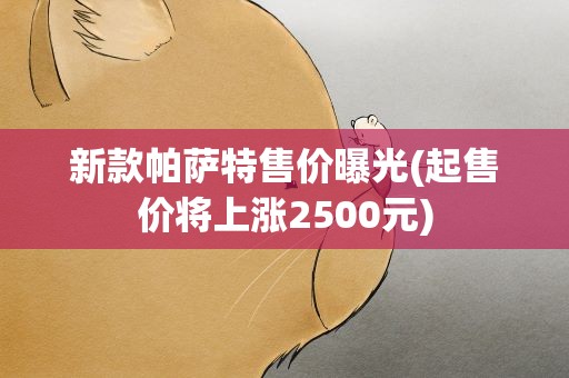 新款帕萨特售价曝光(起售价将上涨2500元)